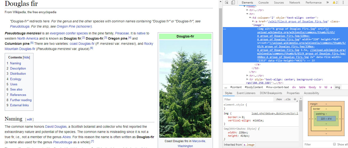 screenshot of wikipedia page for douglas fir with source code presented